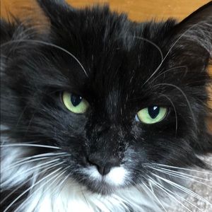 Meet your Posher, Betsy